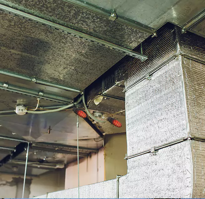 Why Homeowners & Businesses Trust Us in East Lake, FL?