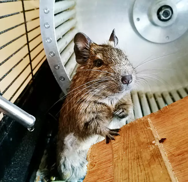 Why Homeowners & Businesses Trust Us East Lake, FL