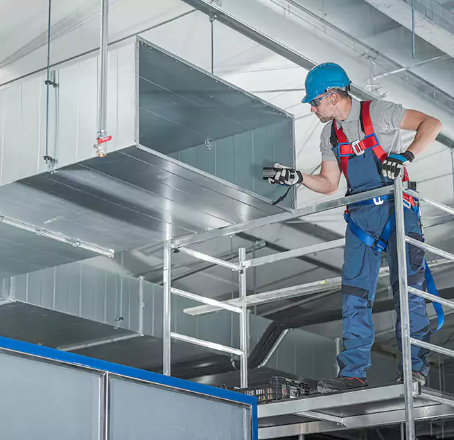 Why Homeowners & Businesses Trust Us in East Lake, FL?