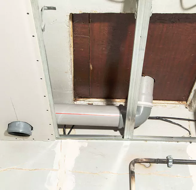 Why Homeowners & Businesses Trust Us in East Lake, FL?