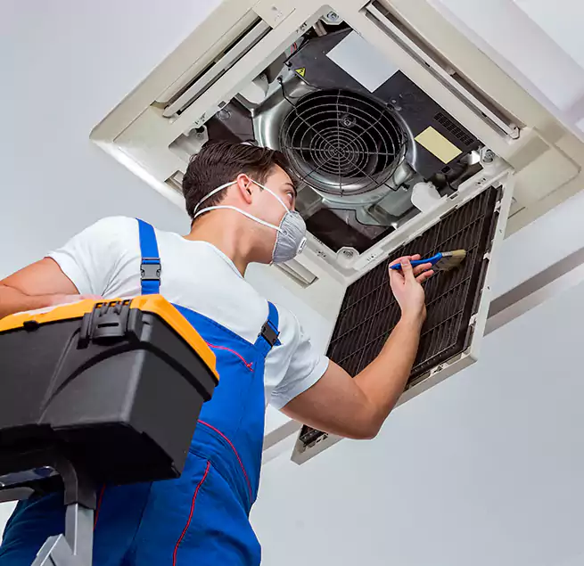 Why Homeowners & Businesses Trust Us in East Lake, FL