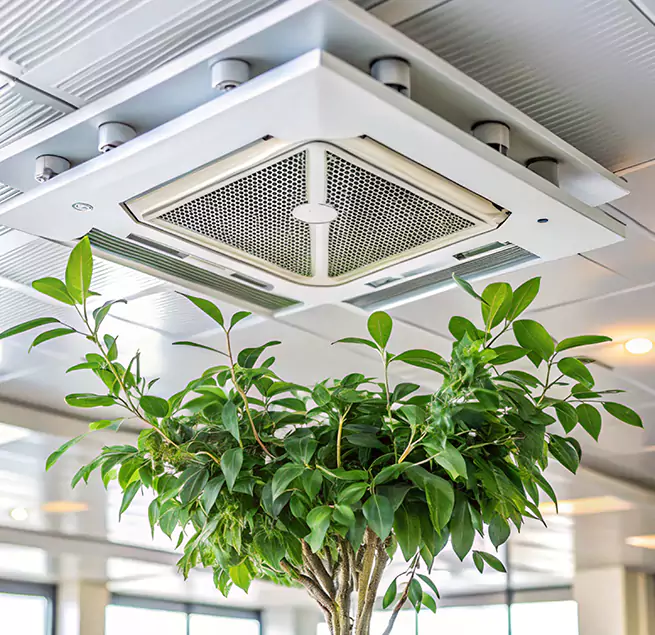 Why Homeowners & Businesses Trust Us in East Lake, FL