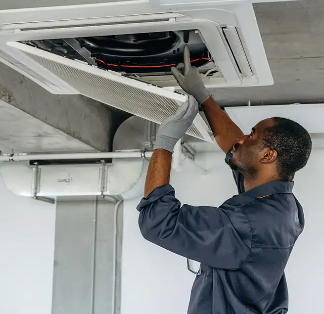 Why Homeowners & Businesses Trust Us in East Lake, FL?