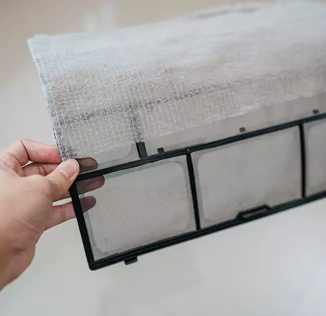 Why Homeowners & Businesses Trust Us in East Lake, FL?