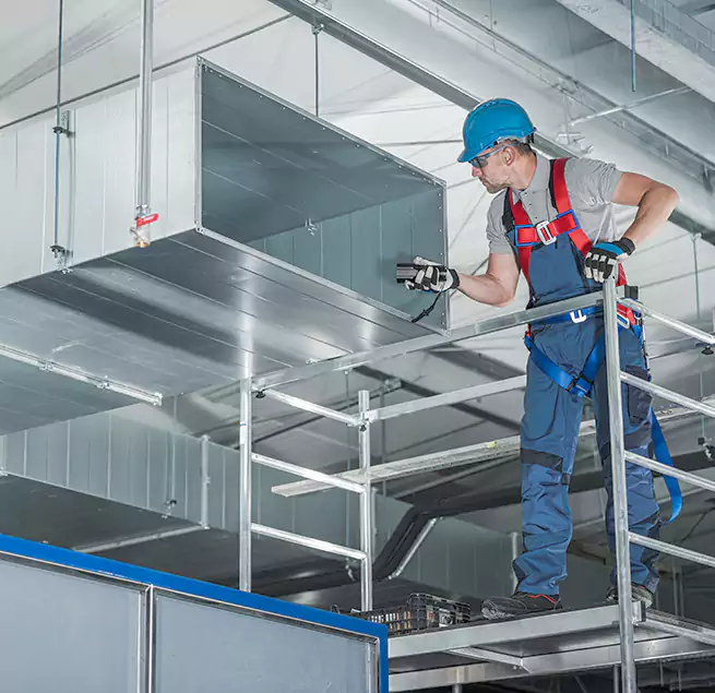 Why Homeowners & Businesses Trust Us in East Lake, FL?