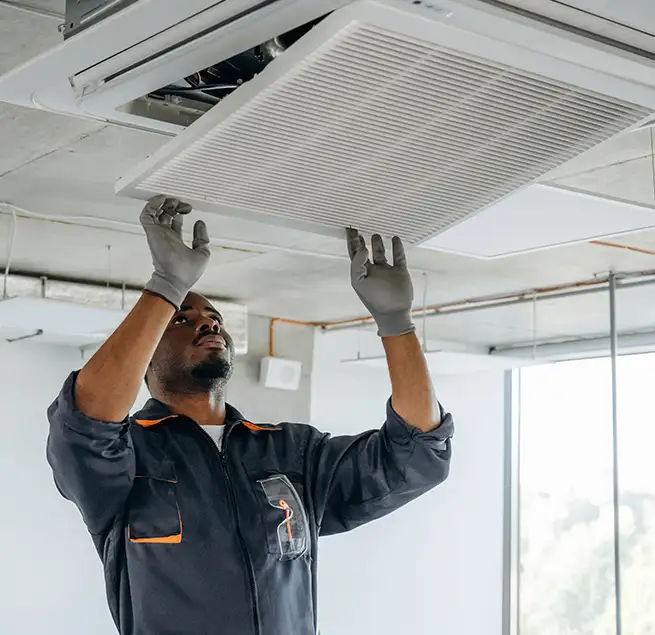 Why Homeowners & Businesses Trust Us in East Lake, FL?