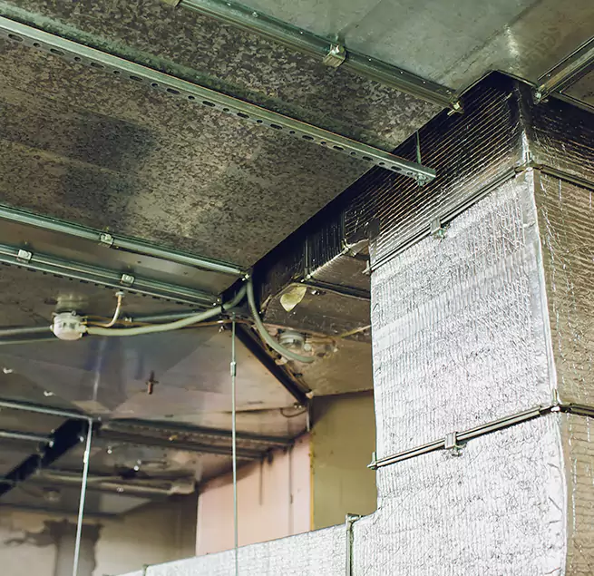 Why Homeowners & Businesses Trust Us in East Lake, FL?