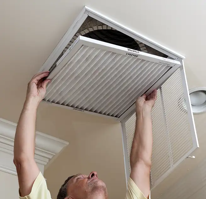 Why Homeowners & Businesses Trust Us in East Lake, FL?