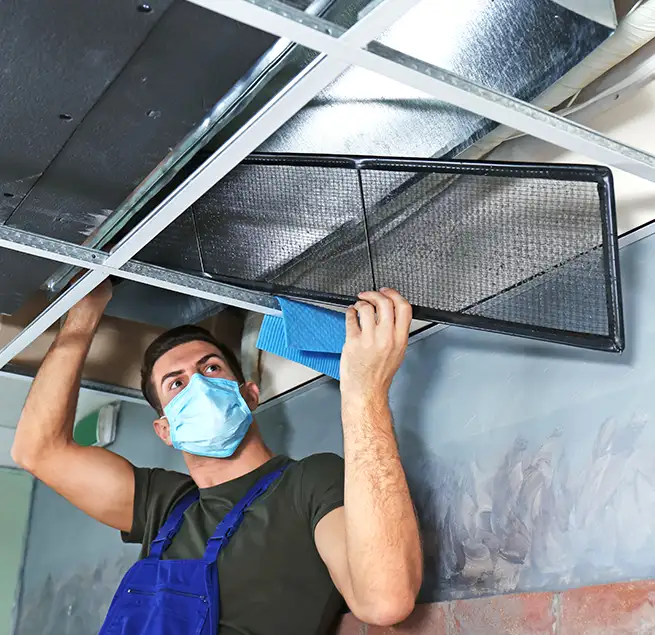 Why Homeowners & Businesses Trust Us in East Lake, FL?