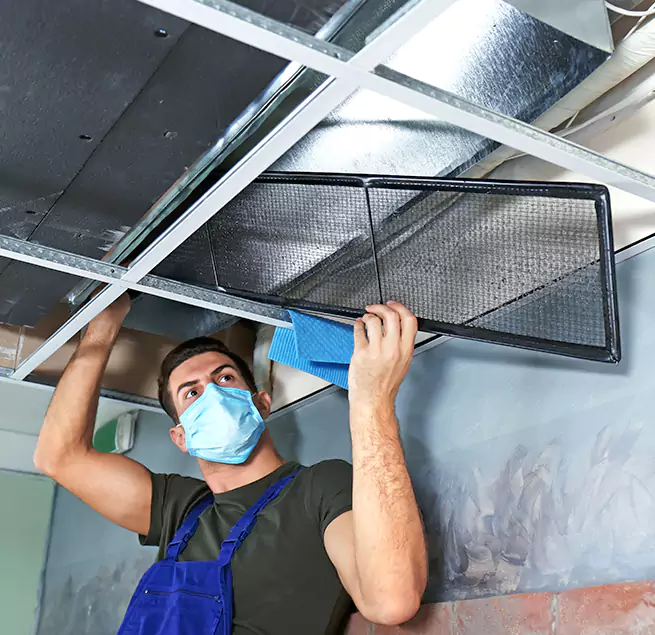 Why Homeowners & Businesses Trust Us in East Lake, FL?