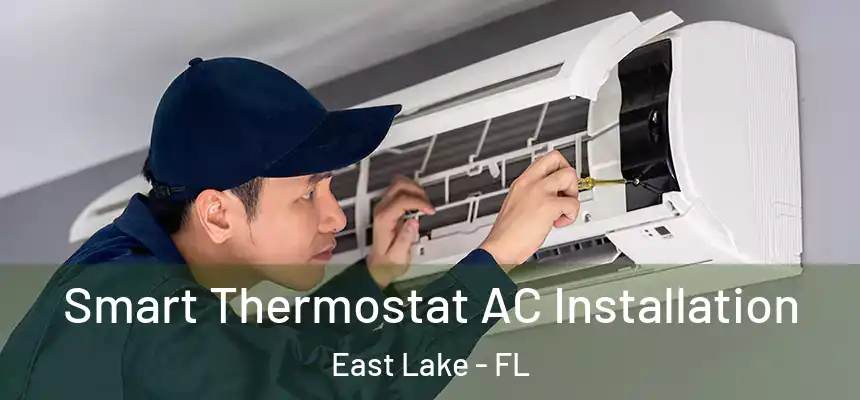 Smart Thermostat AC Installation East Lake - FL